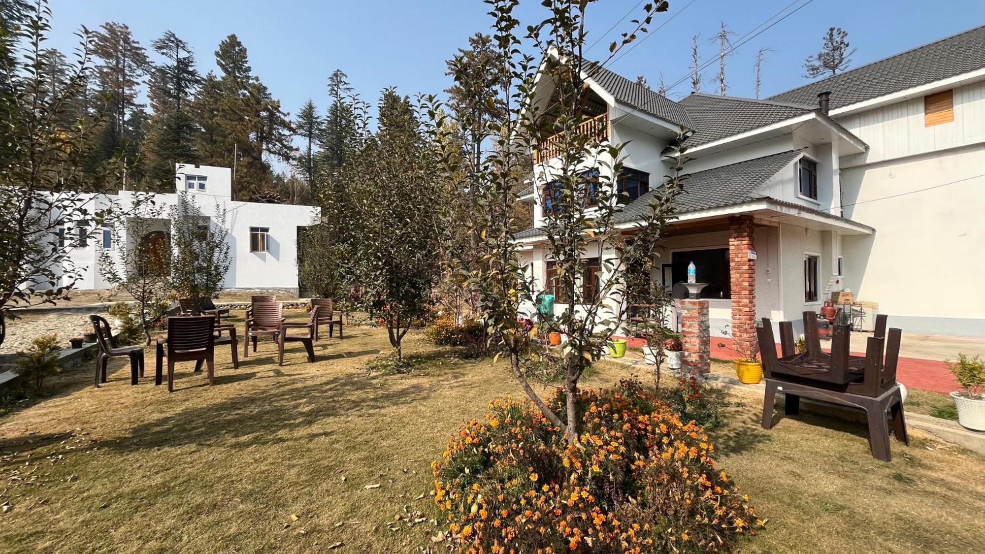 Sheraz Ziran Tangmarg Gulmarg